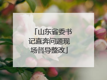 山东省委书记直奔问题现场督导整改