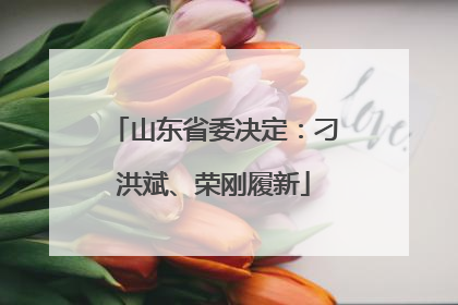 山东省委决定：刁洪斌、荣刚履新