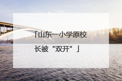 山东一小学原校长被“双开”
