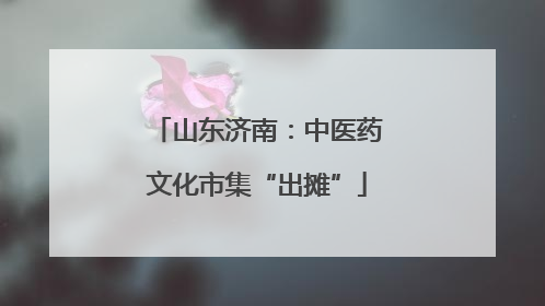 山东济南：中医药文化市集“出摊”
