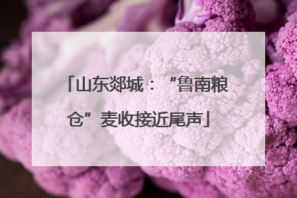 山东郯城：“鲁南粮仓”麦收接近尾声