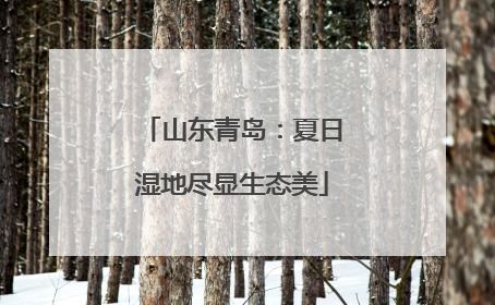 山东青岛：夏日湿地尽显生态美