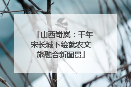 山西岢岚：千年宋长城下绘就农文旅融合新图景