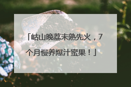 岵山晚荔未熟先火，7个月慢养爆汁蜜果！