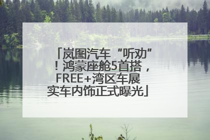 岚图汽车“听劝”！鸿蒙座舱5首搭，FREE+湾区车展实车内饰正式曝光