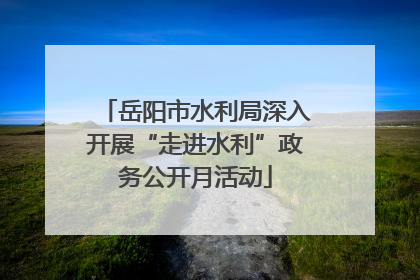 岳阳市水利局深入开展“走进水利”政务公开月活动
