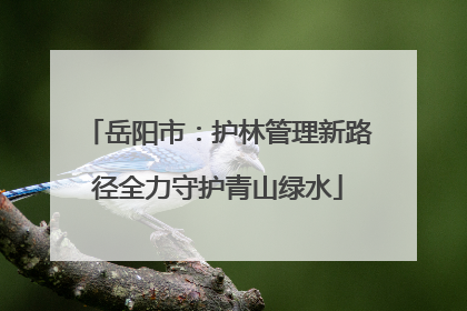 岳阳市：护林管理新路径全力守护青山绿水