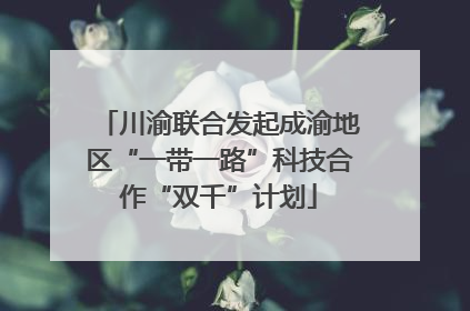 川渝联合发起成渝地区“一带一路”科技合作“双千”计划