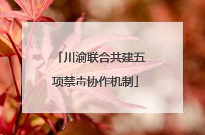 川渝联合共建五项禁毒协作机制