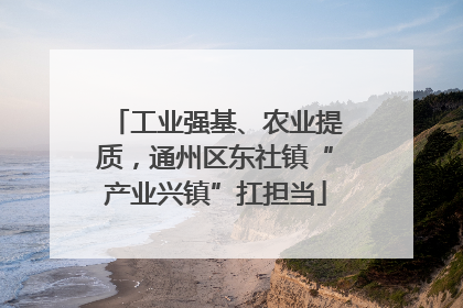 工业强基、农业提质，通州区东社镇“产业兴镇”扛担当