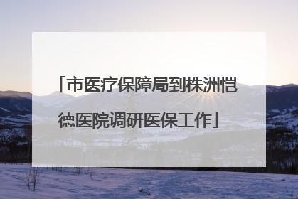 市医疗保障局到株洲恺德医院调研医保工作
