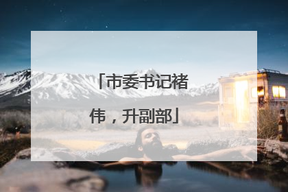市委书记褚伟，升副部