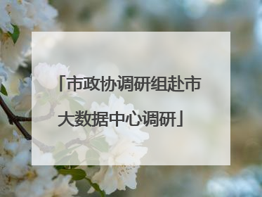 市政协调研组赴市大数据中心调研