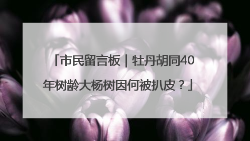 市民留言板｜牡丹胡同40年树龄大杨树因何被扒皮？