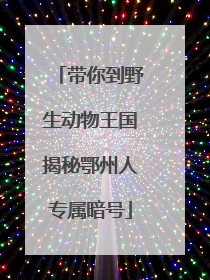 带你到野生动物王国揭秘鄂州人专属暗号
