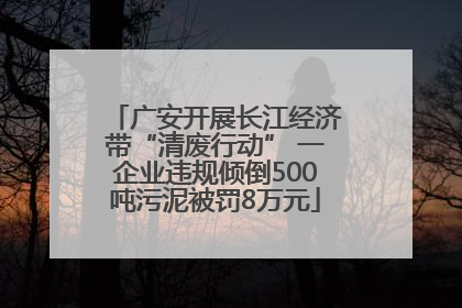 广安开展长江经济带“清废行动” 一企业违规倾倒500吨污泥被罚8万元