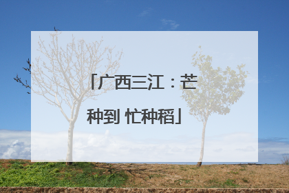 广西三江：芒种到 忙种稻