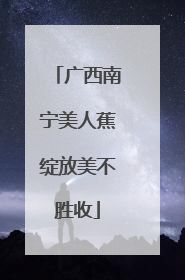 广西南宁美人蕉绽放美不胜收