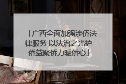 广西全面加强涉侨法律服务 以法治之光护侨益聚侨力暖侨心