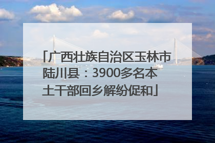广西壮族自治区玉林市陆川县：3900多名本土干部回乡解纷促和