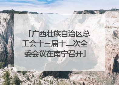 广西壮族自治区总工会十三届十二次全委会议在南宁召开