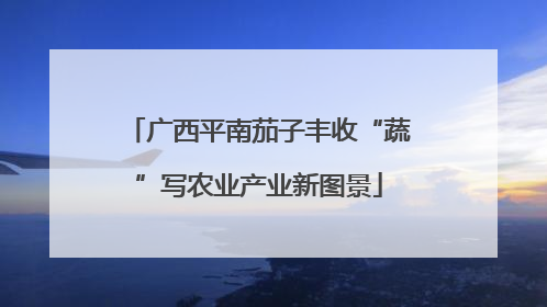 广西平南茄子丰收“蔬”写农业产业新图景