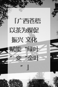 广西苍梧以茶为媒促振兴 文化赋能“绿叶”变“金叶”