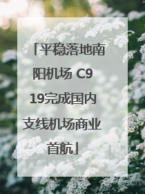 平稳落地南阳机场 C919完成国内支线机场商业首航