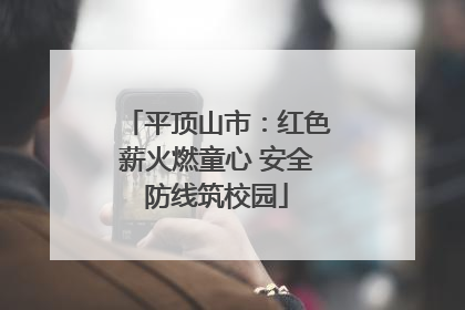 平顶山市：红色薪火燃童心 安全防线筑校园
