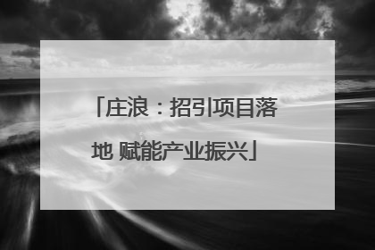 庄浪：招引项目落地 赋能产业振兴