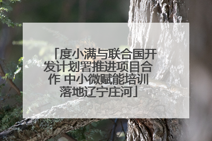 度小满与联合国开发计划署推进项目合作 中小微赋能培训落地辽宁庄河