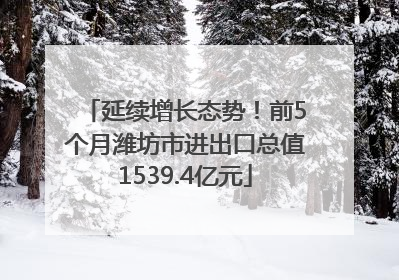 延续增长态势！前5个月潍坊市进出口总值1539.4亿元