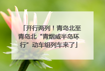 开行两列！青岛北至青岛北“青烟威半岛环行”动车组列车来了