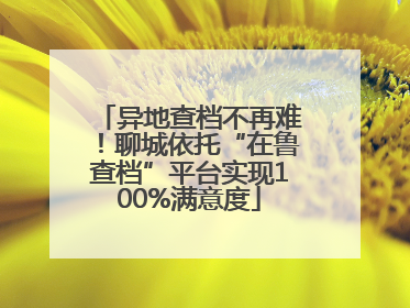 异地查档不再难！聊城依托“在鲁查档”平台实现100%满意度