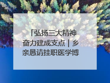 弘扬三大精神 奋力建成支点｜乡亲恳请挂职医学博士再留一年