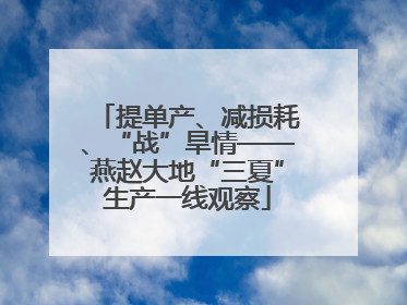 提单产、减损耗、“战”旱情——燕赵大地“三夏”生产一线观察