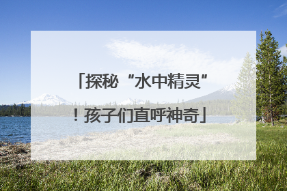 探秘“水中精灵”！孩子们直呼神奇