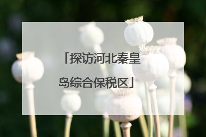 探访河北秦皇岛综合保税区