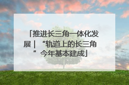 推进长三角一体化发展｜“轨道上的长三角”今年基本建成