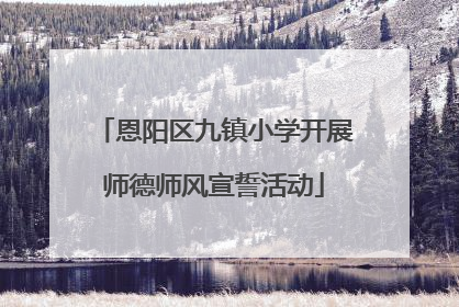 恩阳区九镇小学开展师德师风宣誓活动