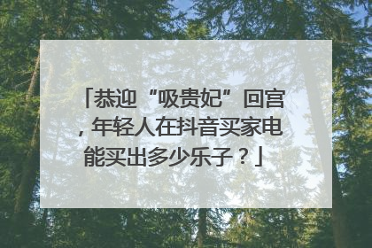 恭迎“吸贵妃”回宫，年轻人在抖音买家电能买出多少乐子？