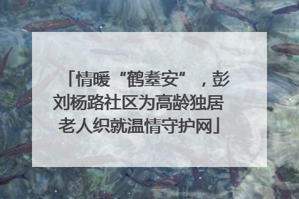 情暖“鹤耋安”，彭刘杨路社区为高龄独居老人织就温情守护网