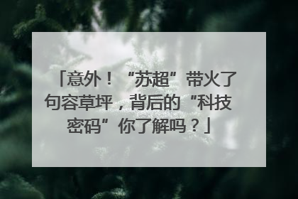 意外！“苏超”带火了句容草坪，背后的“科技密码”你了解吗？