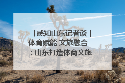 感知山东记者谈｜体育赋能 文旅融合：山东打造体商文旅融合发展新格局