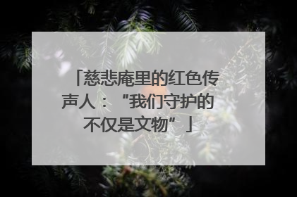 慈悲庵里的红色传声人：“我们守护的不仅是文物”