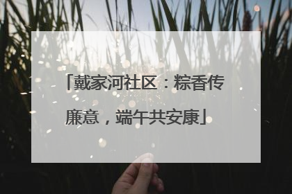戴家河社区：粽香传廉意，端午共安康