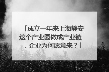 成立一年来上海静安这个产业园做成产业链，企业为何愿意来？