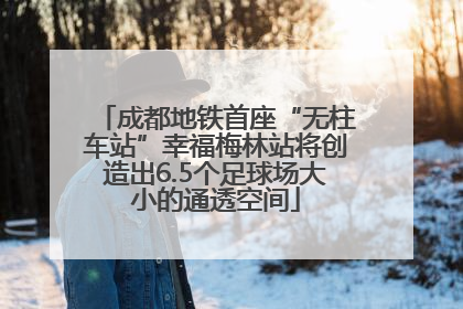 成都地铁首座“无柱车站”幸福梅林站将创造出6.5个足球场大小的通透空间