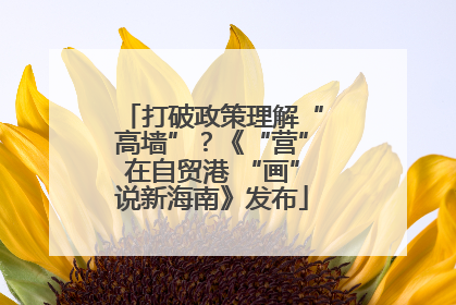 打破政策理解“高墙”？《“营”在自贸港 “画”说新海南》发布