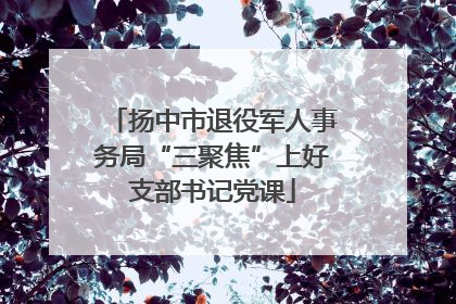 扬中市退役军人事务局“三聚焦”上好支部书记党课